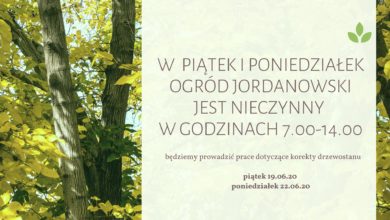 Photo of Zamknięcie Ogrodu Jordanowskiego – korekta drzewostanu